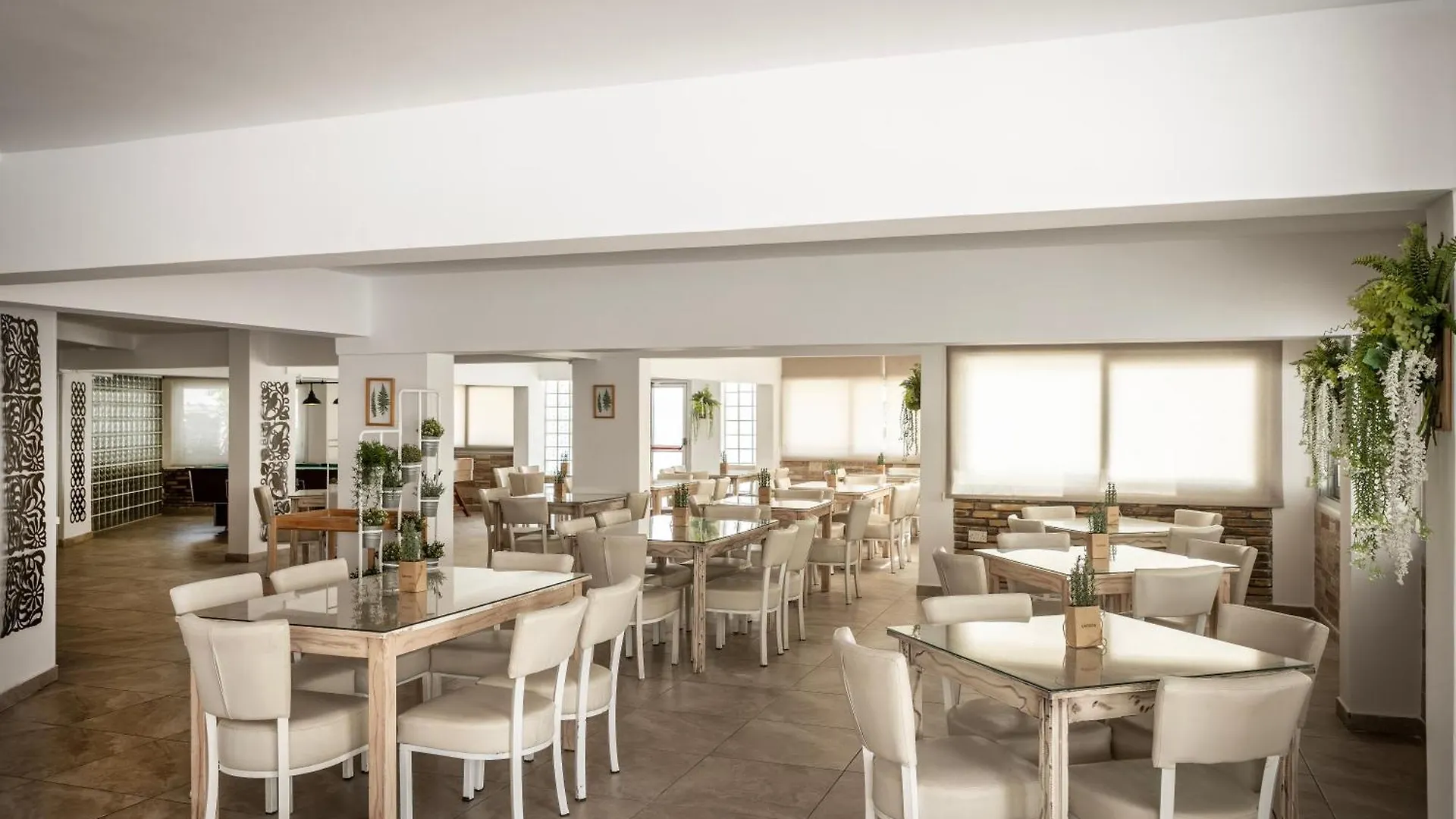 Cactus Hotel Larnaca Cipru