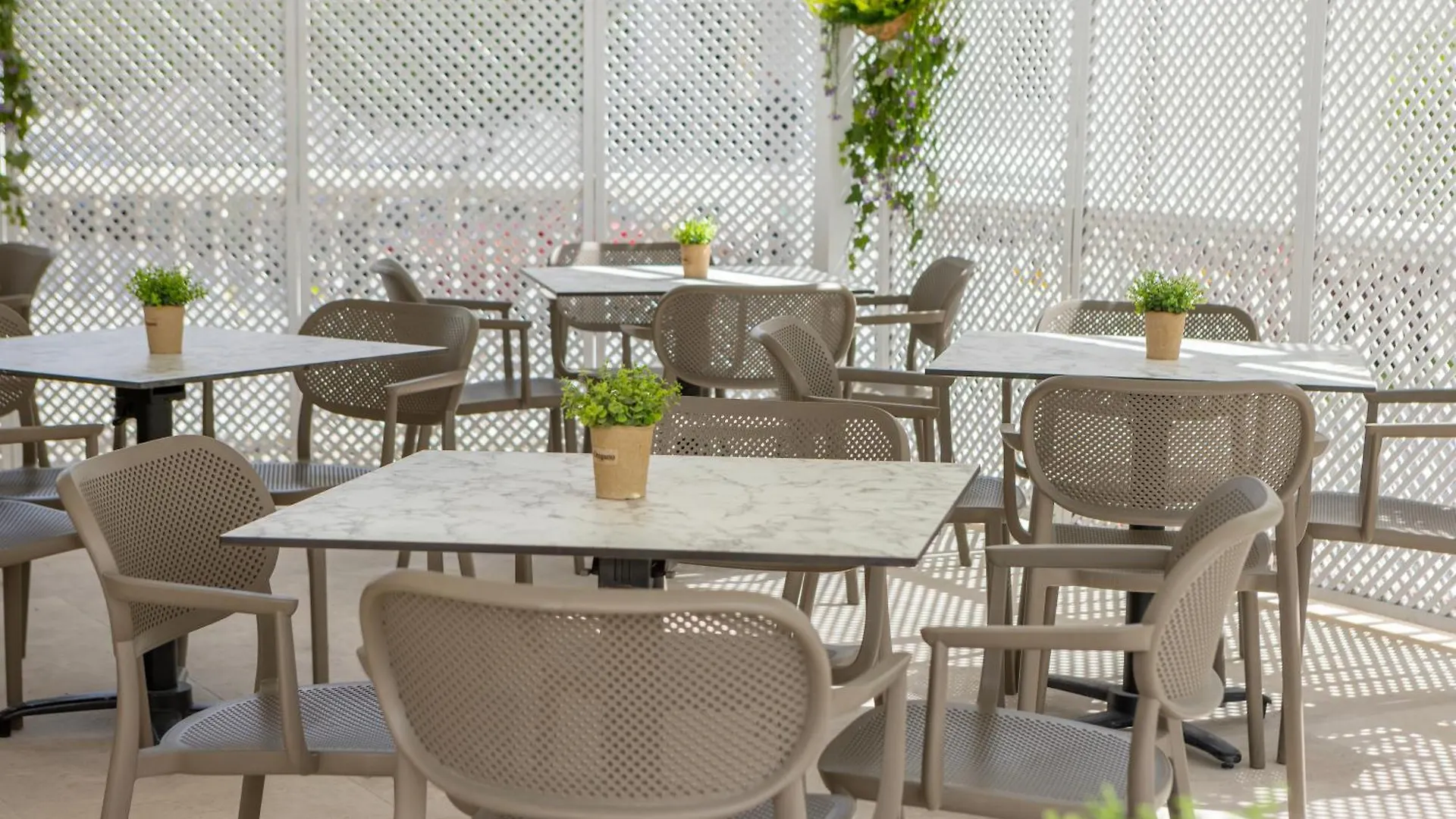 Hotel Cactus Larnaca
