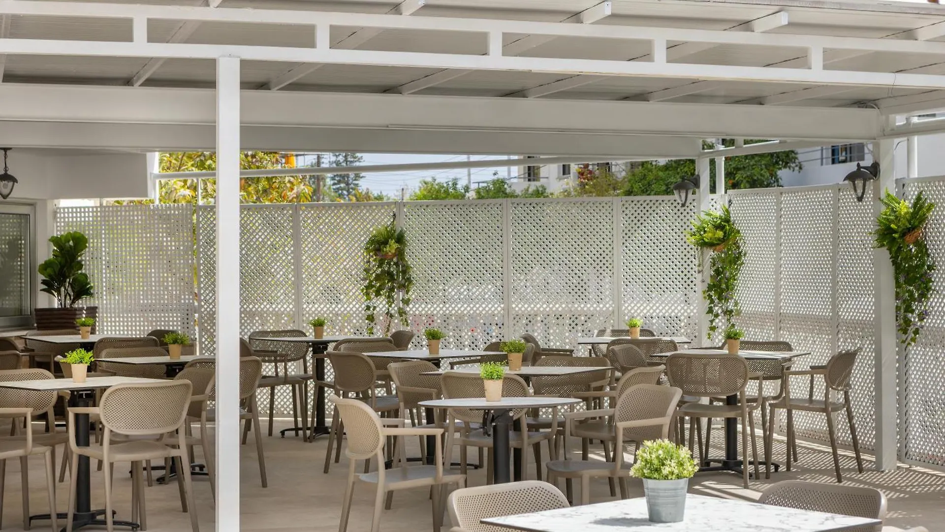 **  Cactus Hotel Larnaca Cyprus