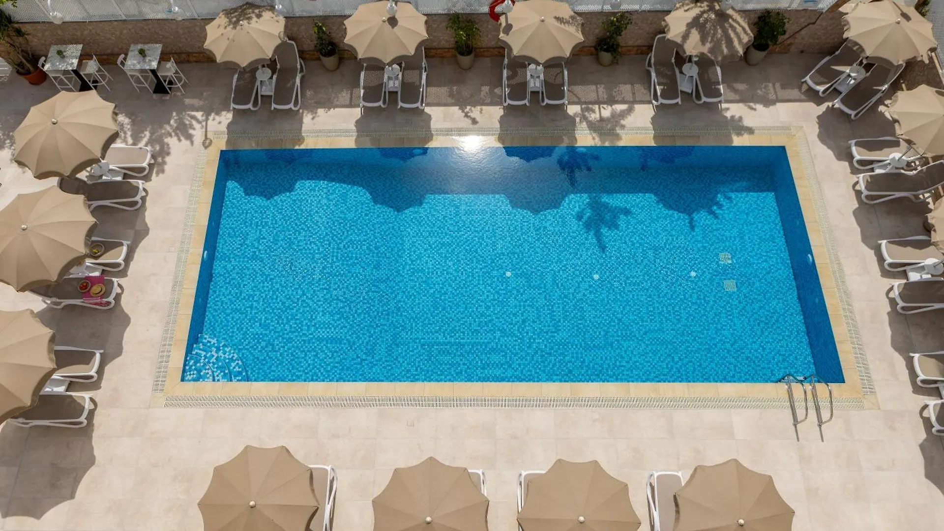 **  Cactus Hotel Larnaca Cyprus