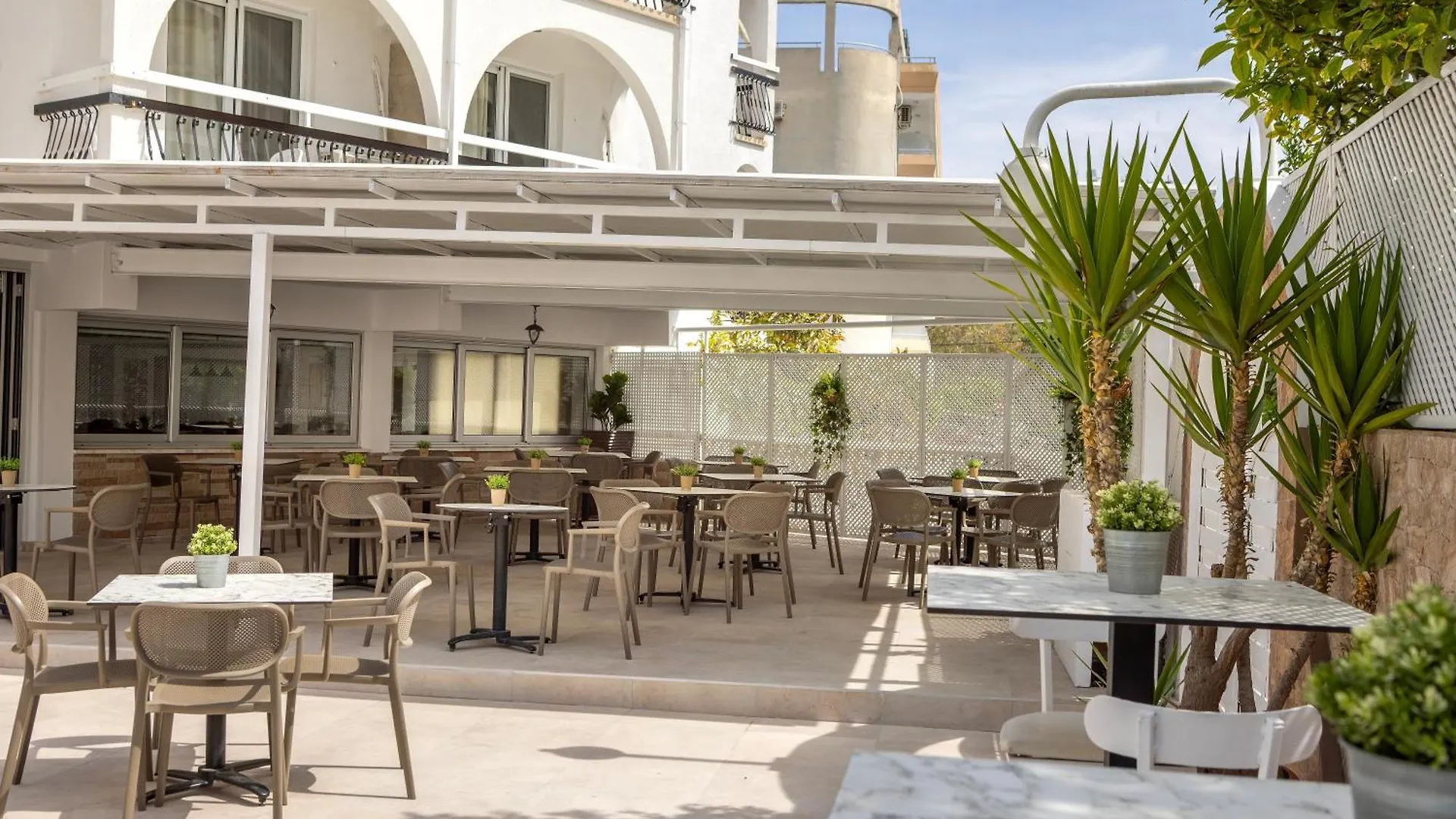 Cactus Hotel Larnaca